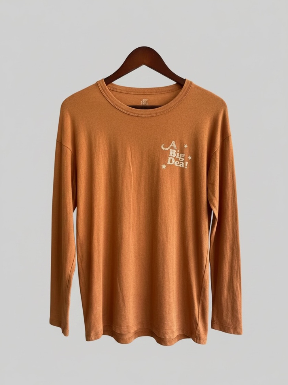 aerie Real Soft Tee in Rust Orange